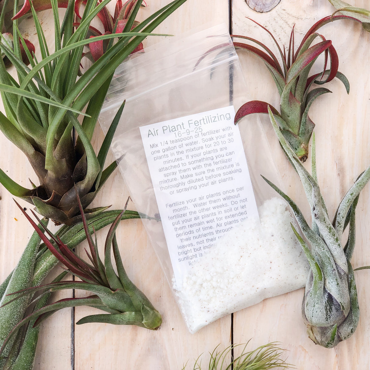 Air Plant Fertilizer – Iconic Style + Home