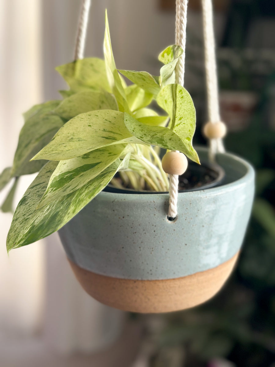 hanging planter concrete Hanging Planter – Iconic Style + Home