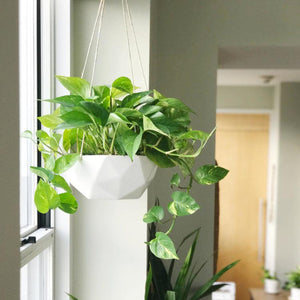 Geometric Hanging Planter