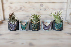 5 mini concrete geode vessels holding air plants or candles