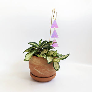 Plant Jewelry Pick: Iridescent Triangles for Houseplants
