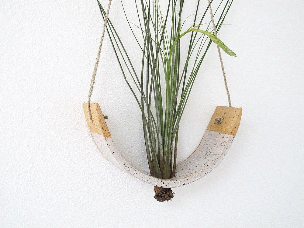 A speckled white air plant hanger holds a green air plant.