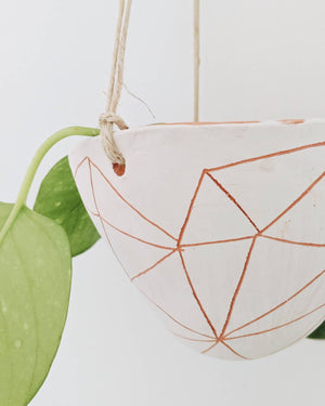 Geotriangle Hanging Planter