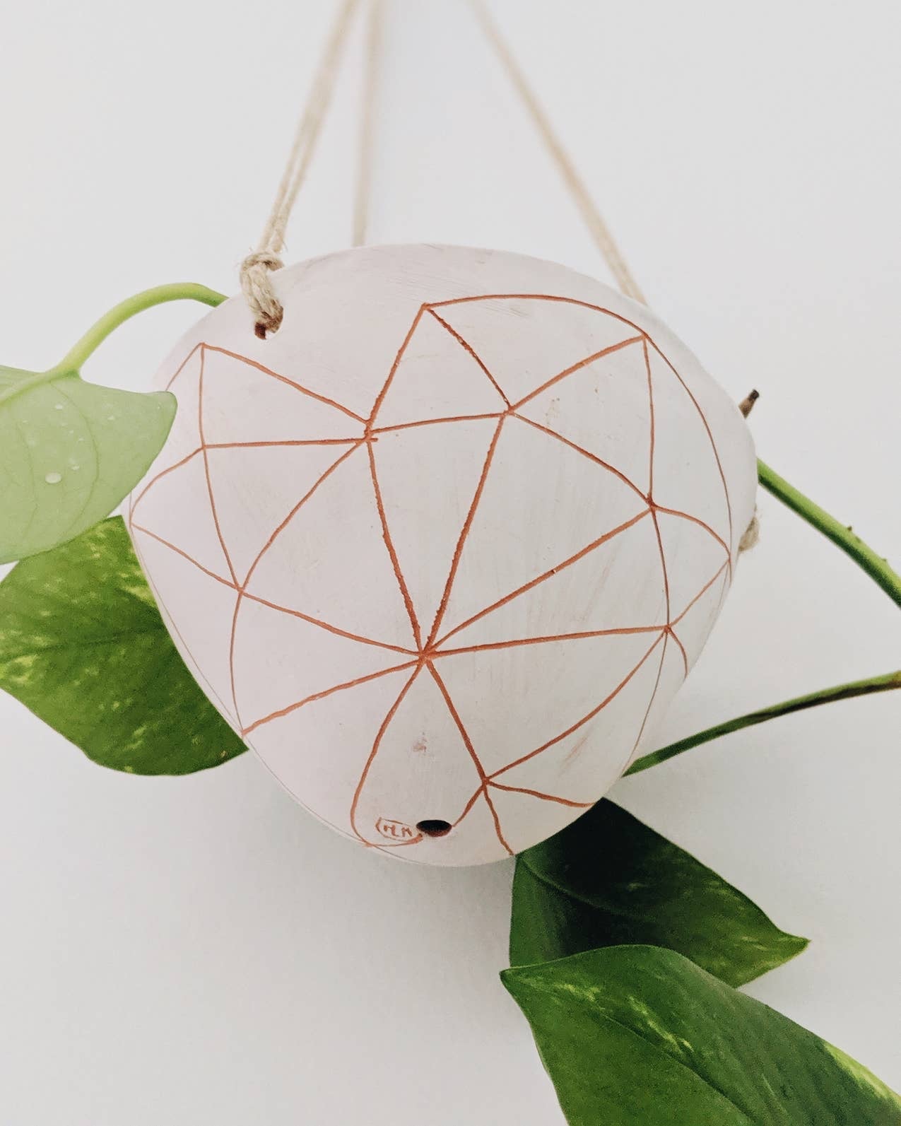 Geotriangle Hanging Planter