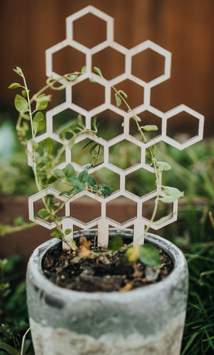 Honeycomb Plant Trellis