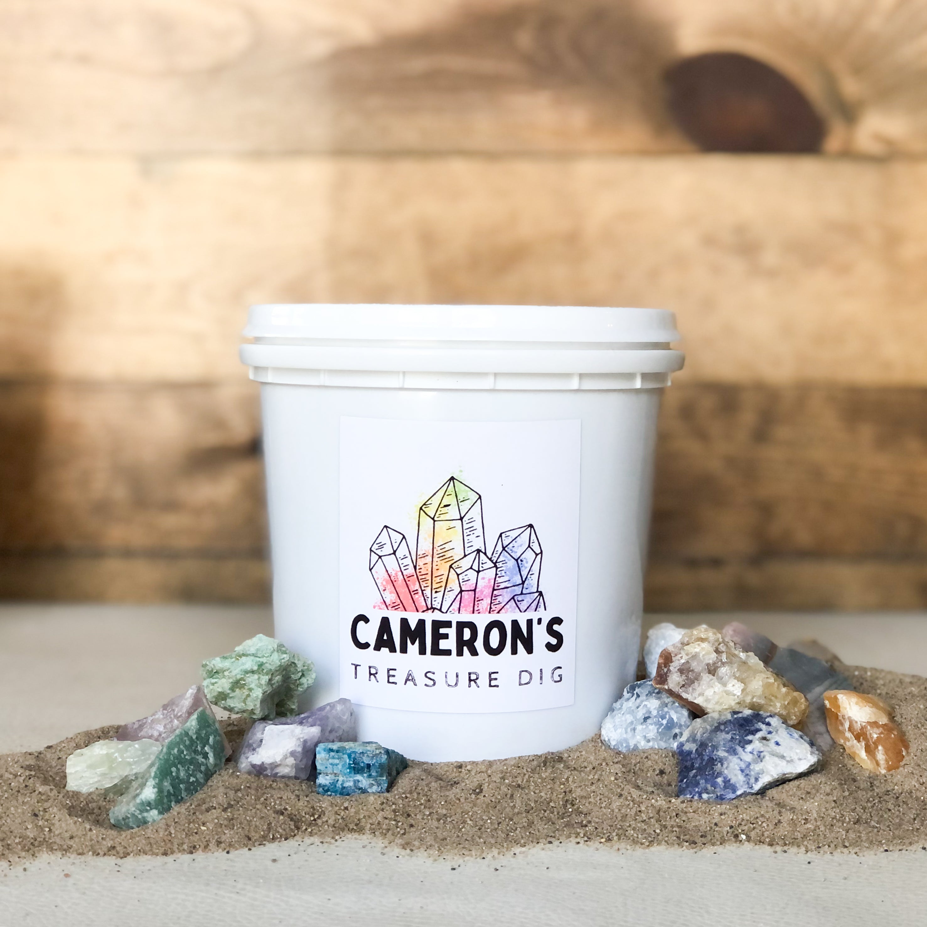 Cameron’s Treasure Dig Buckets